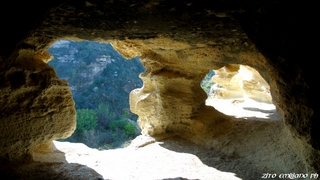 otta del Drago02-11-2014 14-02-23